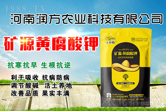 礦源黃腐酸鉀為什么牛？怎么用才能效果翻倍？