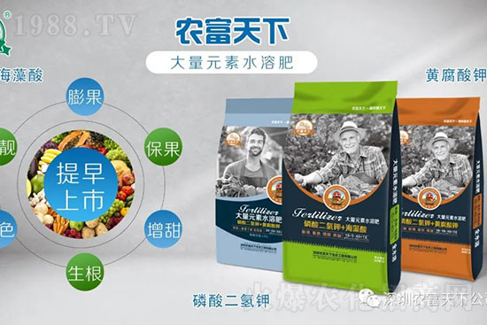 水溶肥就是用水沖沖？大錯特錯，正確做法該是這樣的！