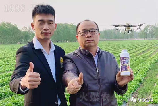 玉米追肥復(fù)合肥好還是尿素好？很多人都錯(cuò)了！它才是正確選擇