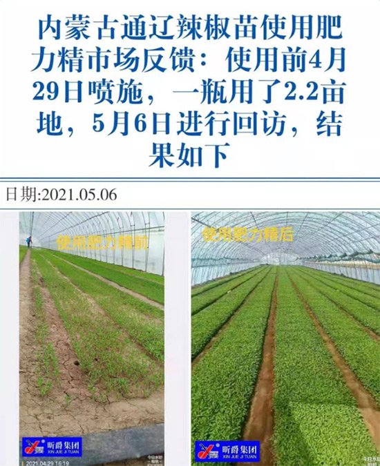 玉米追肥復(fù)合肥好還是尿素好？很多人都錯(cuò)了！它才是正確選擇