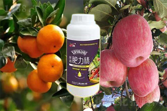 玉米追肥復(fù)合肥好還是尿素好？很多人都錯(cuò)了！它才是正確選擇