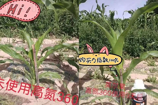 液體氮肥有哪些優(yōu)點？液體氮肥能替代尿素追肥嗎？