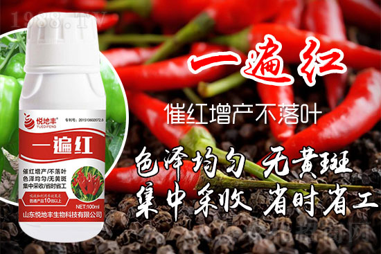 ������ʲôҪ���t���������t��ɫ�Ă�(g��)���Ӻ���