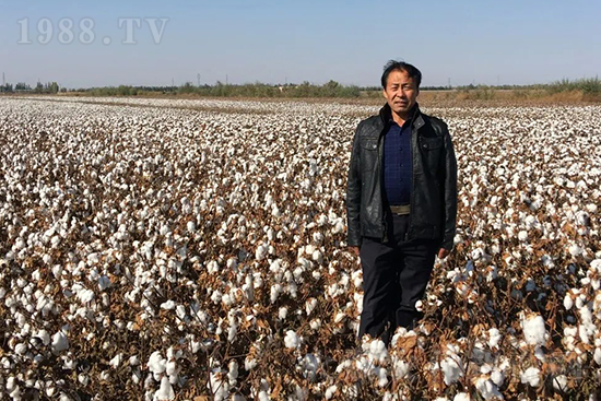 中農(nóng)化新疆北疆辦事處負責人：同路同行共發(fā)展