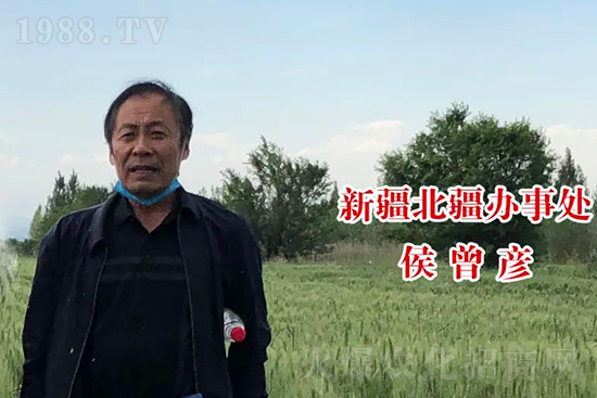 中農(nóng)化新疆北疆辦事處負責人：同路同行共發(fā)展