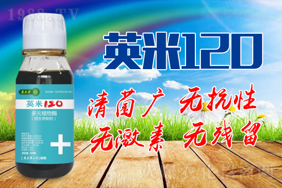 枸杞白粉病的癥狀是什么？枸杞白粉病防治方法！