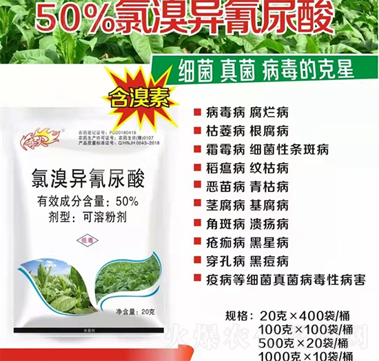 ɽ�|�����S����Ƽ����޹�˾13