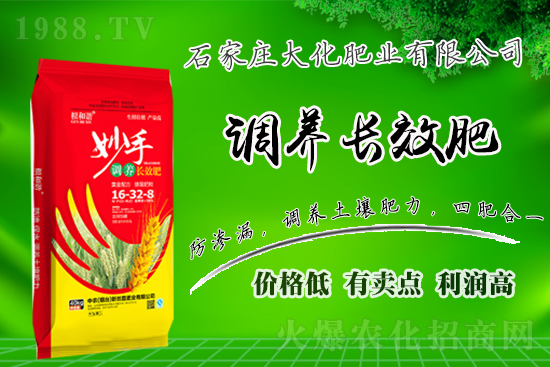 戰(zhàn)略合作再升級(jí)，石家莊大化肥業(yè)再次簽約1988.TV！