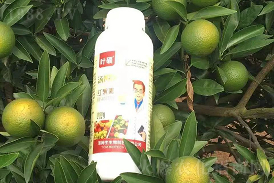 �t���ء�ֻ���D(zhu��n)ɫ�������D(zhu��n)ɫ���������߼t���ó���