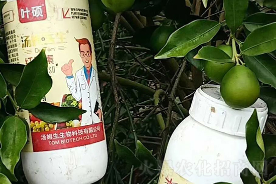 �t���ء�ֻ���D(zhu��n)ɫ�������D(zhu��n)ɫ�����ߣ��߼t���ó���