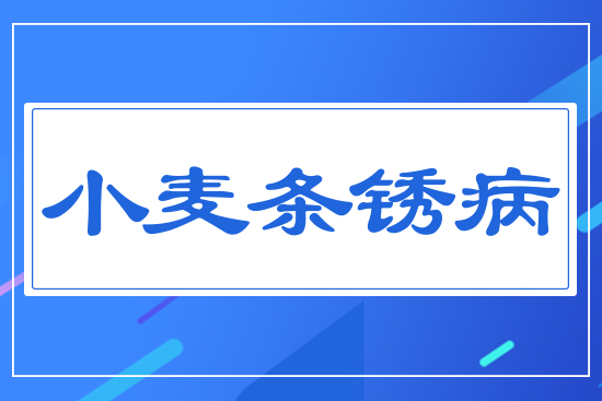 С���l�P��