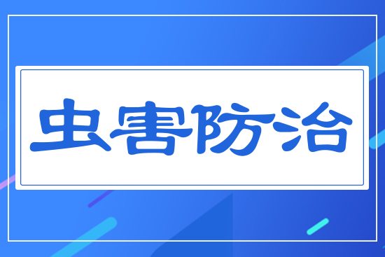 �x������