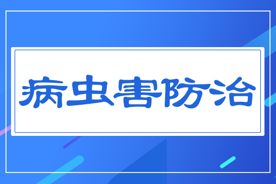 ���x(ch��ng)��