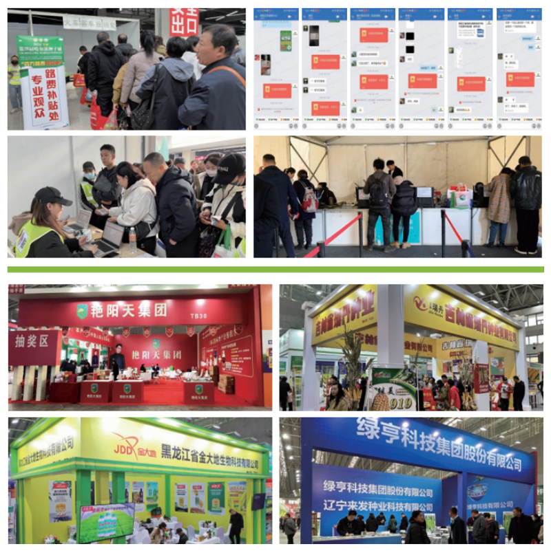 ��ɫ����