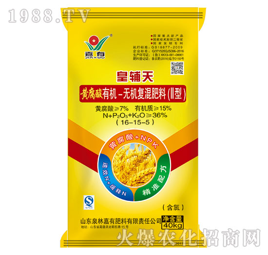 ���o���S�����ЙC(j��)-�o�C(j��)��(f��)�����16-15-5-���з���