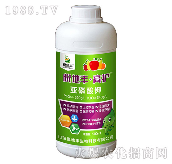 �������-���o-�����S