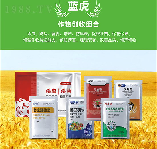 小麥增產(chǎn)套餐-藍(lán)虎品牌