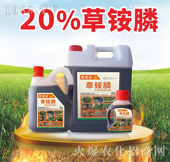 20%���@�-���S����