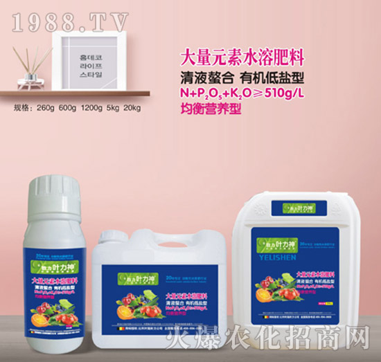 均衡營(yíng)養(yǎng)型大量元素水溶肥料-施耐力