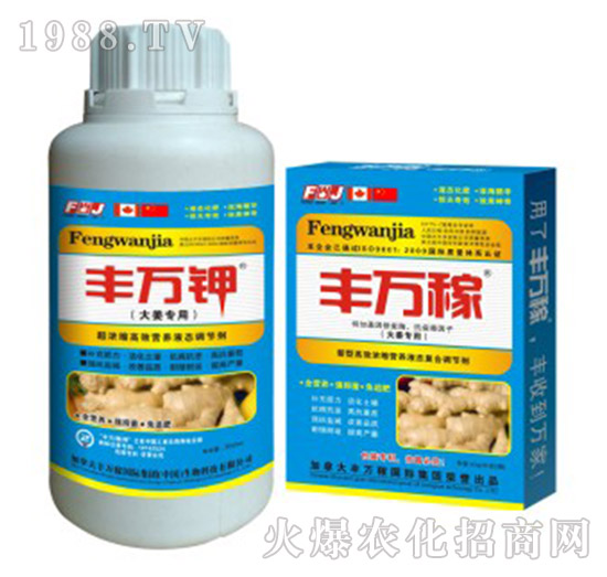 大姜專用液肥-抗病膨塊營養(yǎng)增產(chǎn)化控劑-豐萬稼