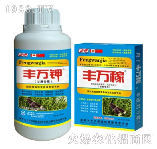 甘蔗專用高效營養(yǎng)液態(tài)調(diào)節(jié)劑-豐萬稼