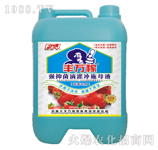 草莓專用強(qiáng)抑菌滴灌沖施母液-豐萬稼