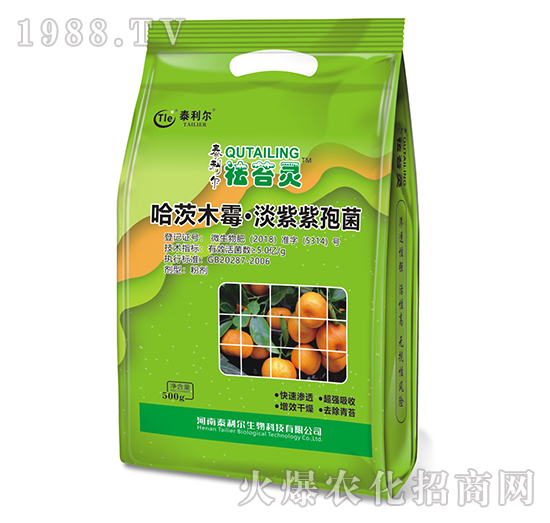 ����ľù���������߾�-��̦�`-̩����