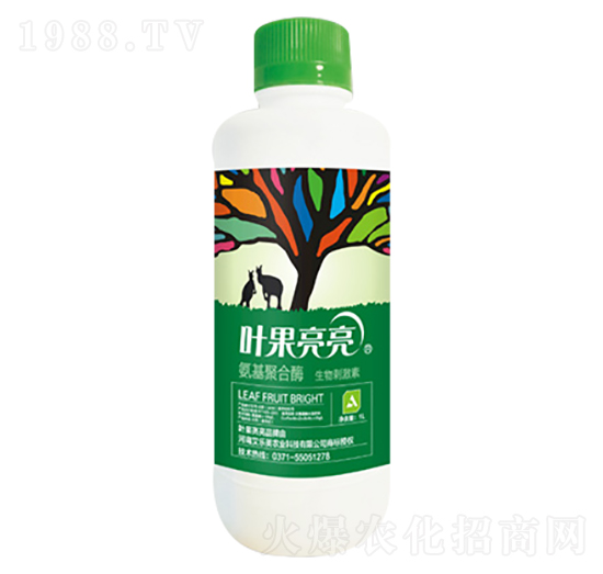 �����ۺ�ø-�~������-������