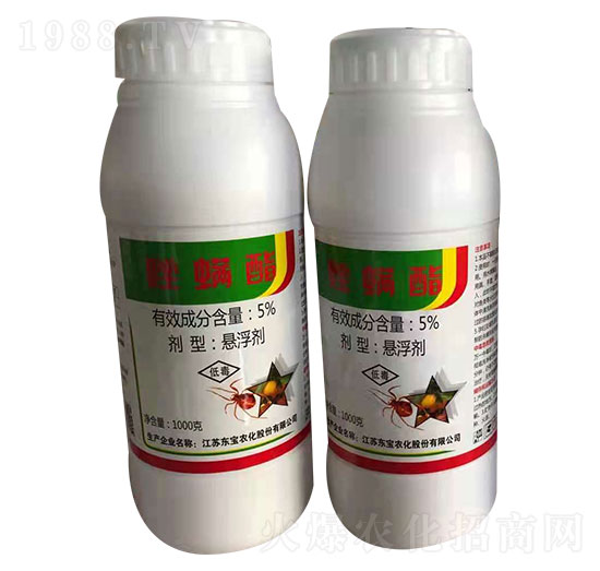 5%������-�|��