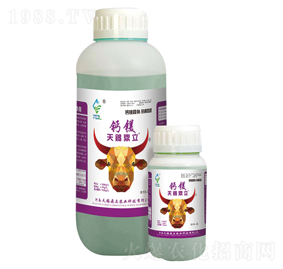 �}�V�� ���n����