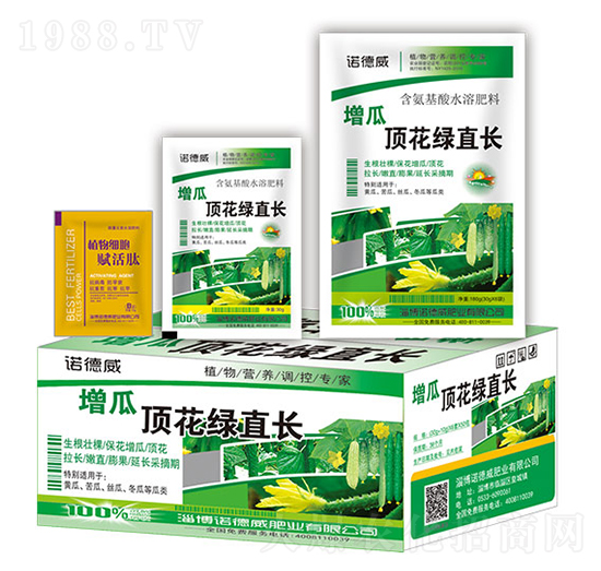 增瓜頂花綠植長-諾德威