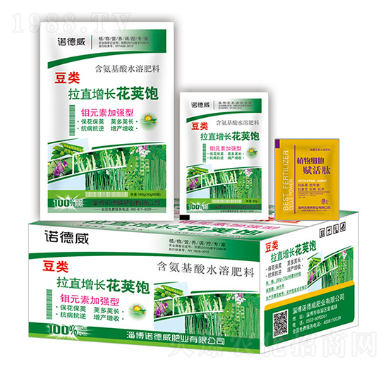 豆類拉直增長花莢飽+植物細胞賦活肽-諾德威