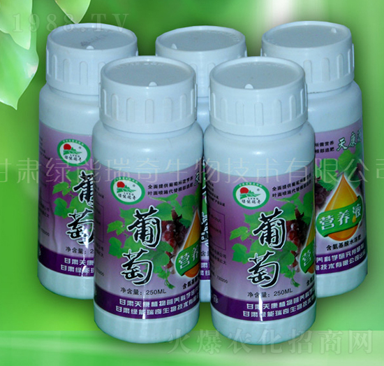 ���ѠI�B(y��ng)Һ-�G��