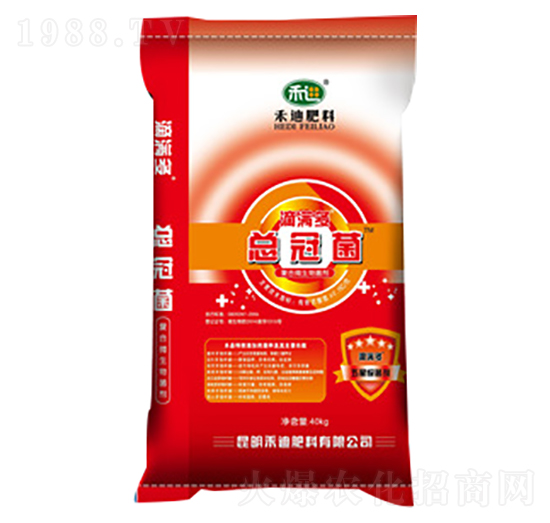 �ΝM�࿂�ھ�-�̵�