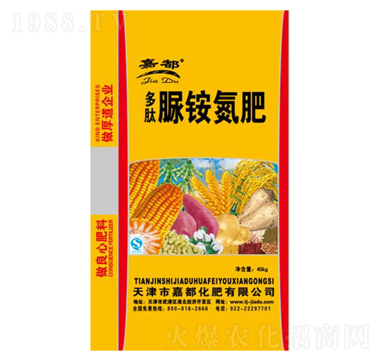 �����尷����-�ζ�