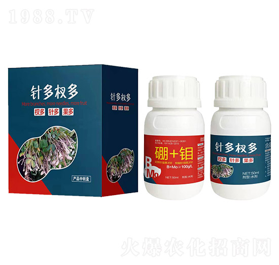 針多杈多-艾樂(lè)美