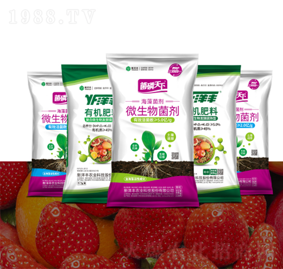 洋豐生物有機肥-新洋豐