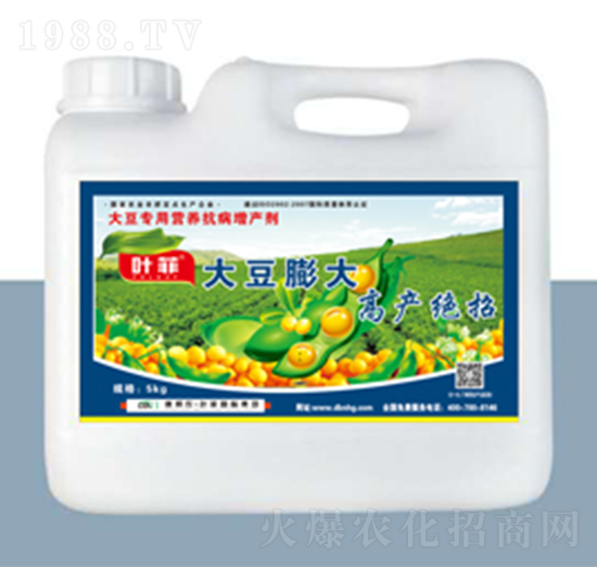 大豆膨大高產(chǎn)絕招-德邦葉菲