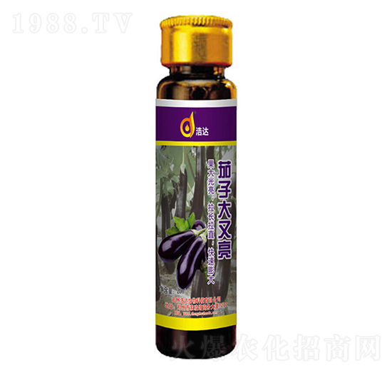 茄子大又亮-浩達(dá)生物