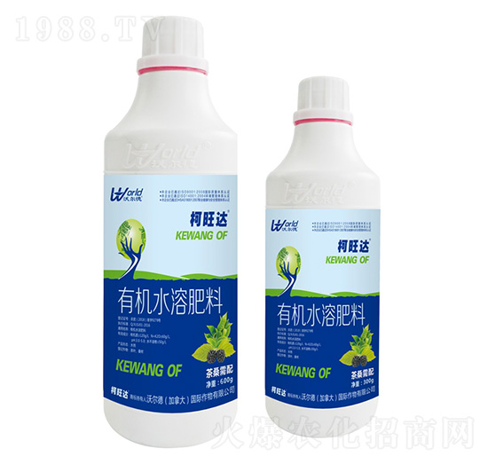 600g茶桑需配有機水溶肥-柯旺達(dá)-沃爾德農(nóng)業(yè)