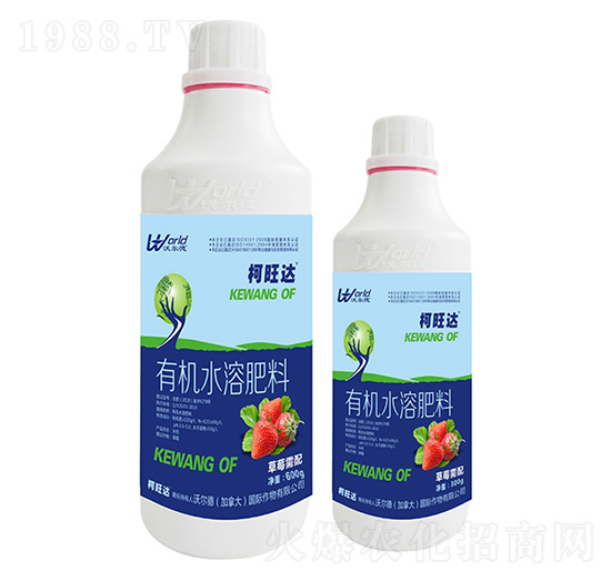 600g草莓需配有機水溶肥-柯旺達-沃爾德農(nóng)業(yè)
