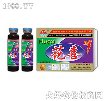 25g��ϲ-�挚�r(n��ng)��