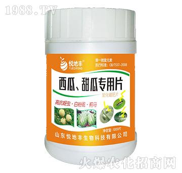 西瓜、甜瓜專用片（一棵一片）-悅地豐