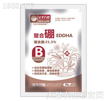 ������-���S�f(w��n)¡