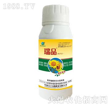 �������øߝ�sֲ�����L(zh��ng)