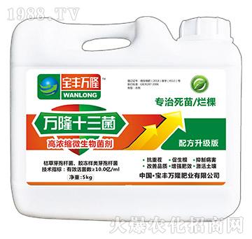 �ߝ�s΢�������-�f(w��n)¡