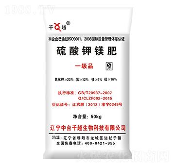 ������V��-ǧԽ����