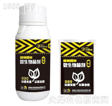 ˪�ߌ�(zhu��n)��΢�������-ֲ������-������