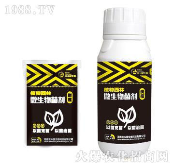 ̿�Ҍ�(zhu��n)��΢�������-ֲ������-������