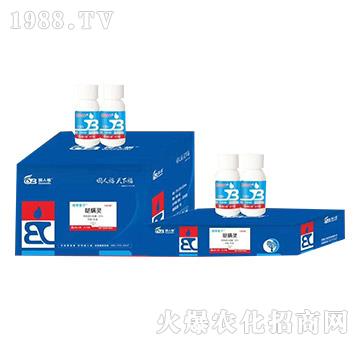 ���׌���ˎ-��������-���˸�